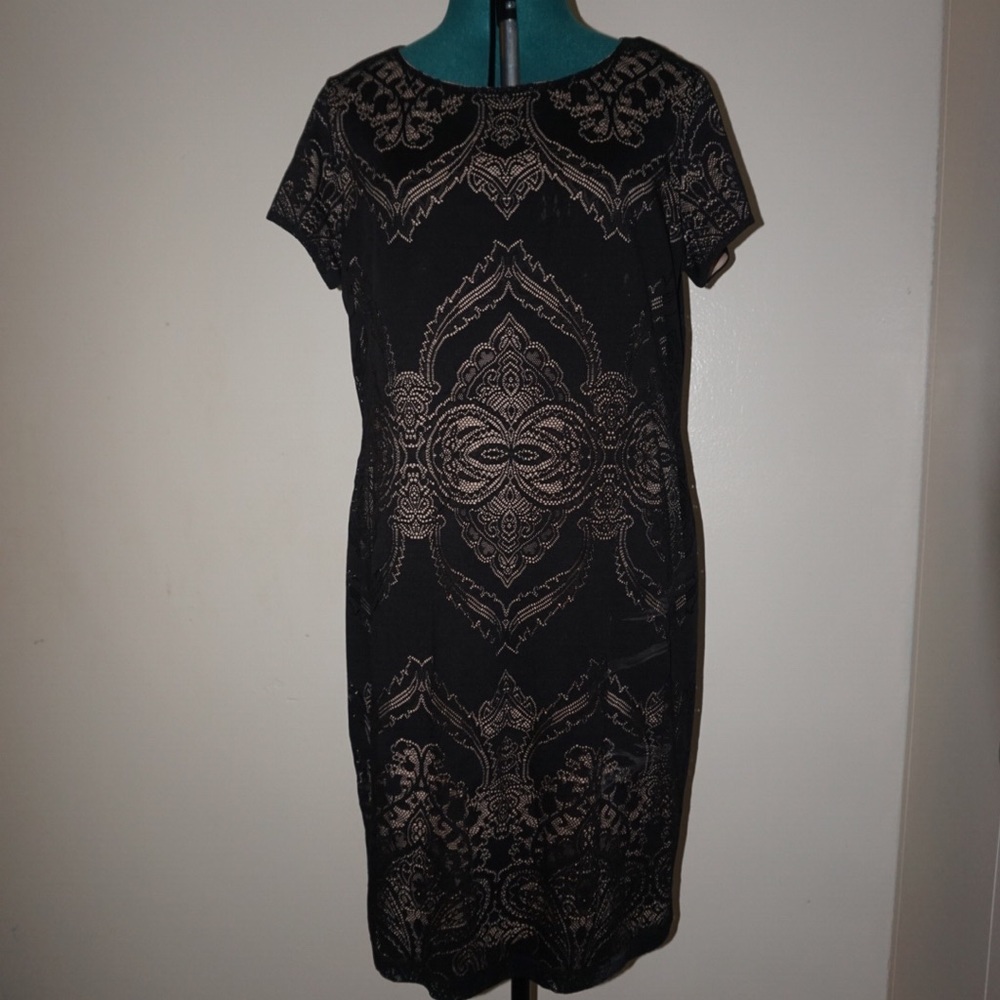 Beautiful Black Lace Ashley Stewart Dress